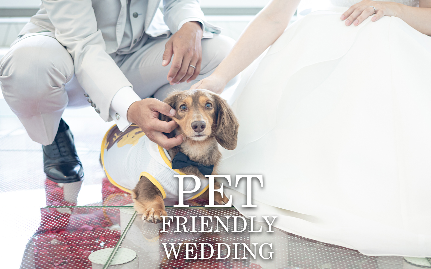 【愛犬と一緒に結婚式】ペットフレンドリーウエディング